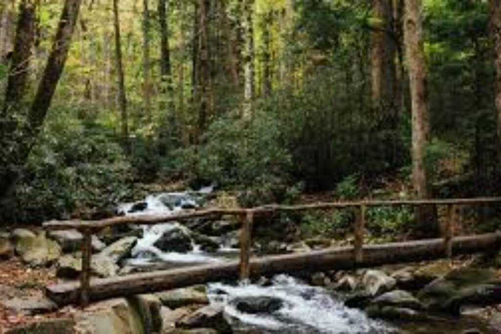 Вилла Honeymoon Getaway In Woods Near Noc And Smoky Mtn Rr Брайсон-Сити Экстерьер фото